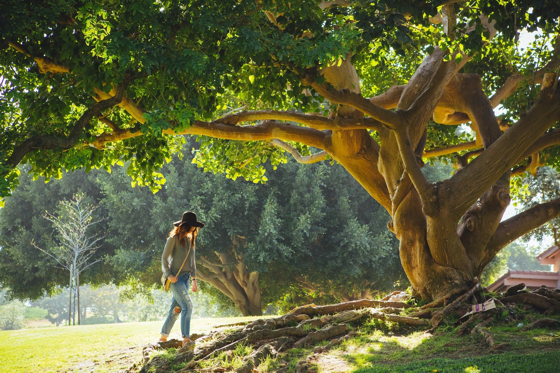 woman walking under green tree